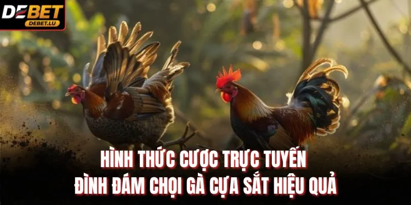 Hình thức cược trực tuyến đình đám chọi gà cựa sắt hiệu quả