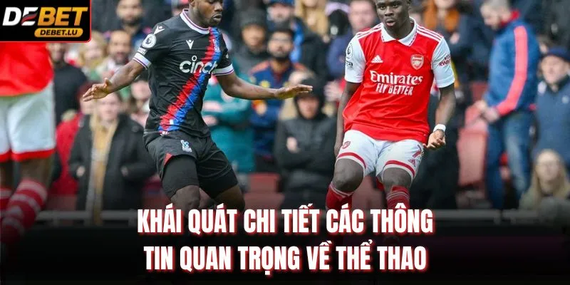 Khái quát chi tiết các thông tin quan trọng về thể thao