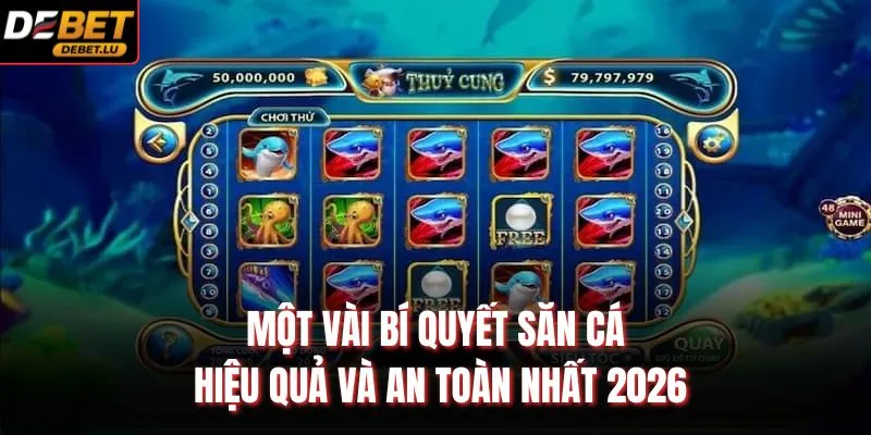 Một vài bí quyết săn cá hiệu quả và an toàn nhất 2026