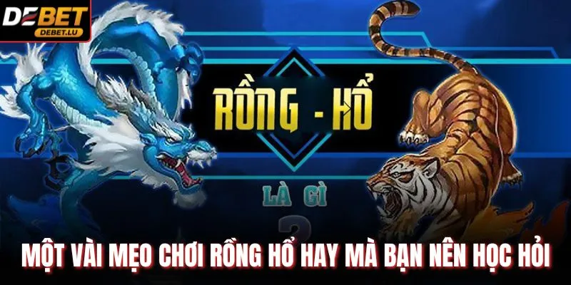Một vài mẹo chơi rồng hổ hay mà bạn nên học hỏi